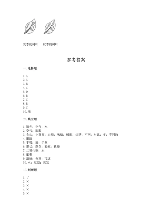 教科版一年级上册科学期末测试卷含完整答案（历年真题）.docx