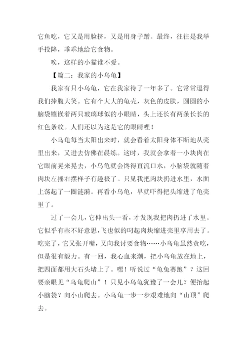 写小动物的作文500字.docx