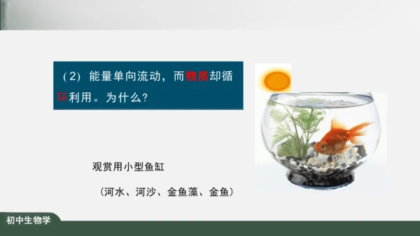 1.2.2 生物与环境组成生态系统 课件（共25张PPT）