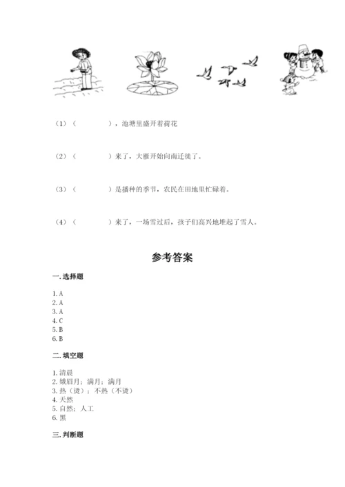 教科版小学二年级上册科学期末测试卷【考点梳理】.docx
