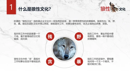 团队企业文化狼性文化员工培训PPT