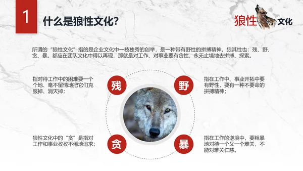 团队企业文化狼性文化员工培训PPT