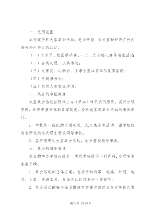 大型集会应急预案.docx
