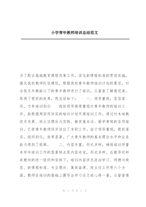 小学青年教师培训总结范文.docx
