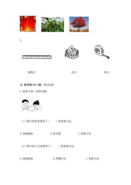 教科版一年级上册科学期末测试卷及答案（有一套）.docx