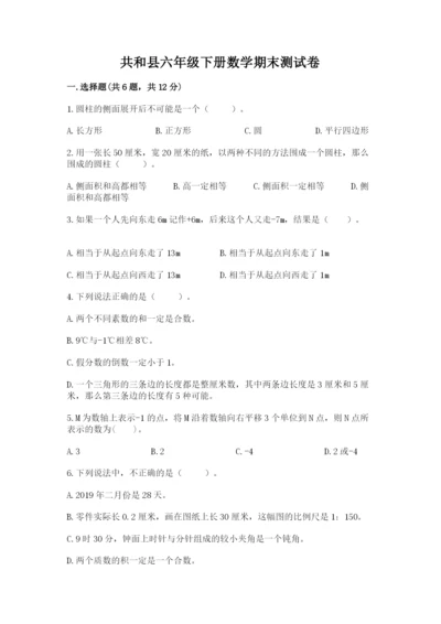 共和县六年级下册数学期末测试卷（黄金题型）.docx
