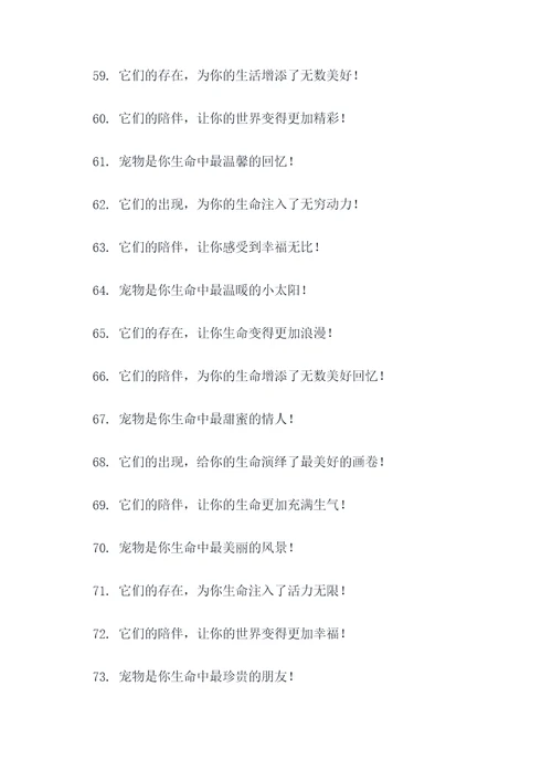 买宠物的标语