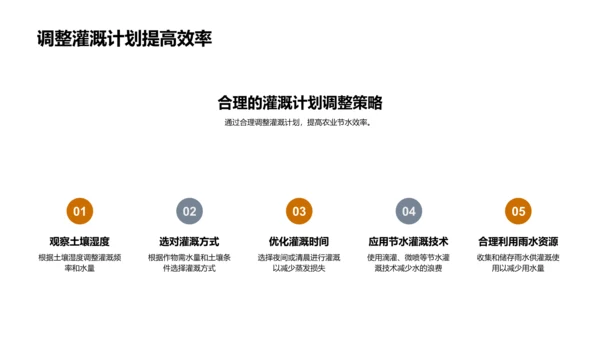 立秋节气与农业节水