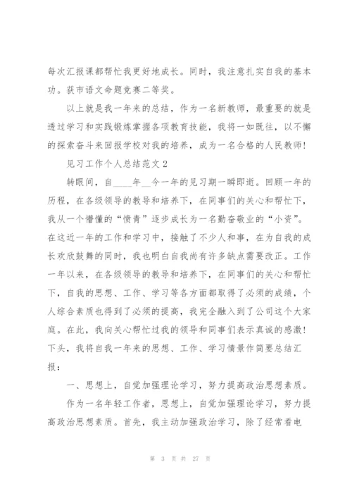 见习工作个人总结范文10篇.docx