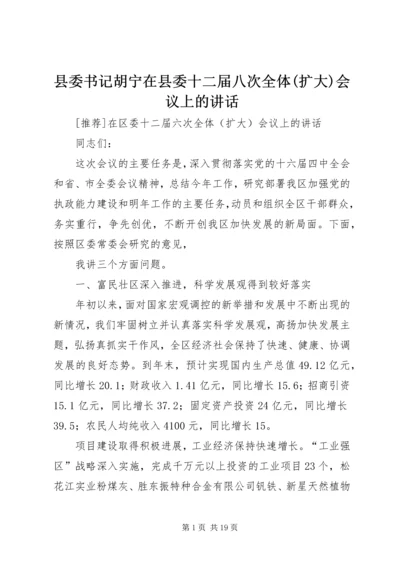 县委书记胡宁在县委十二届八次全体(扩大)会议上的讲话 (5).docx
