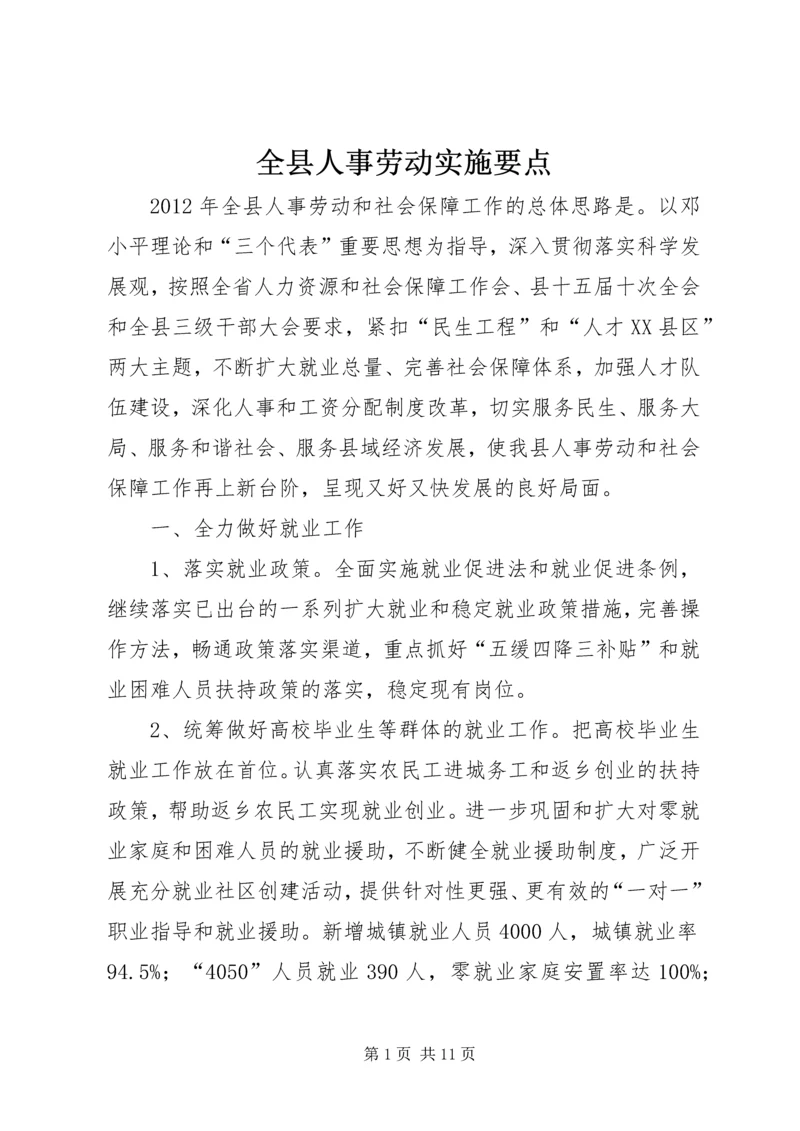 全县人事劳动实施要点.docx