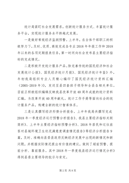 统计局XX年上半年工作总结及下半年工作安排 (2).docx