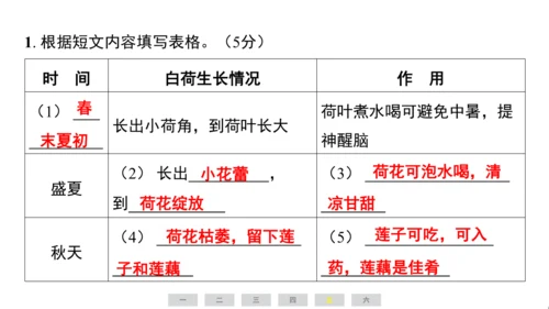 统编版语文四年级上册（江苏专用）期中素养测评卷   课件