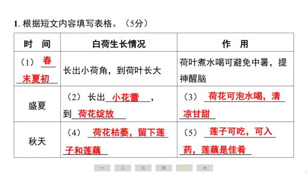 统编版语文四年级上册（江苏专用）期中素养测评卷   课件