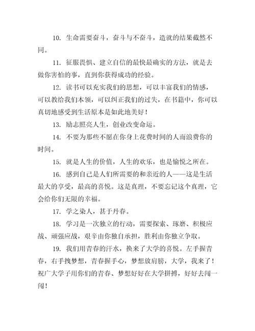 放弃我读大学的句子精选1554句