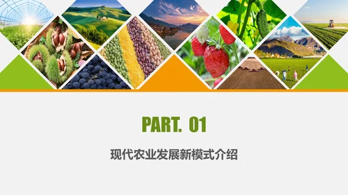 水果蔬菜农业招商农产品宣传通用PPT模板