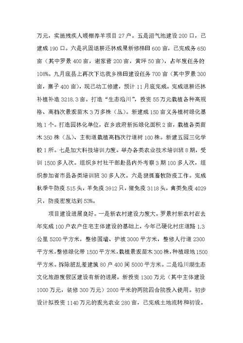 农村基层组织建设专题述职报告