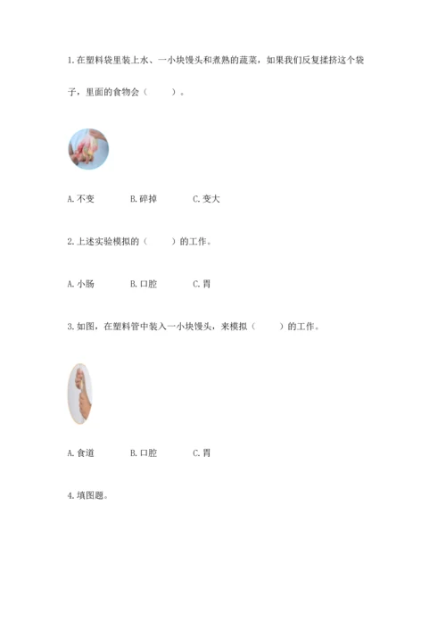 教科版科学四年级上册期末测试卷（网校专用）.docx