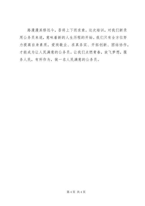 如何做一名人民满意的公务员心得.docx