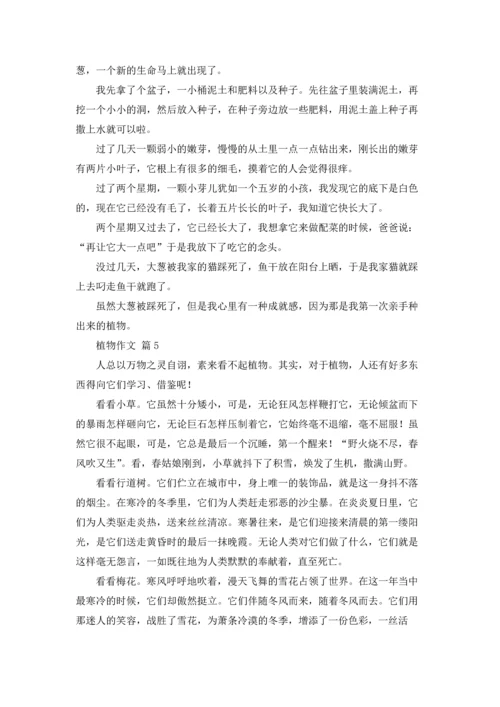 植物作文锦集五篇.docx