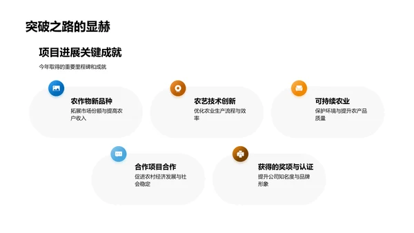 农业项目进展与展望