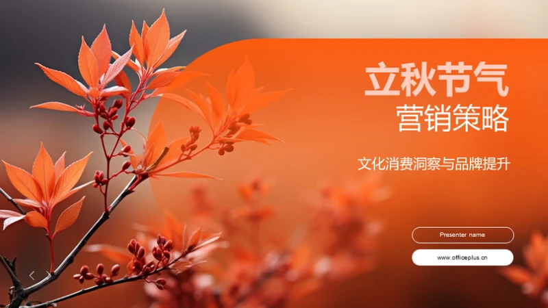 立秋节气营销策略