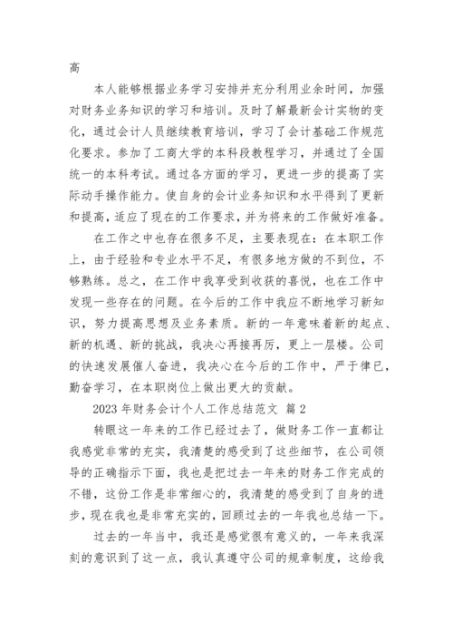 2023年财务会计个人工作总结范文_1.docx