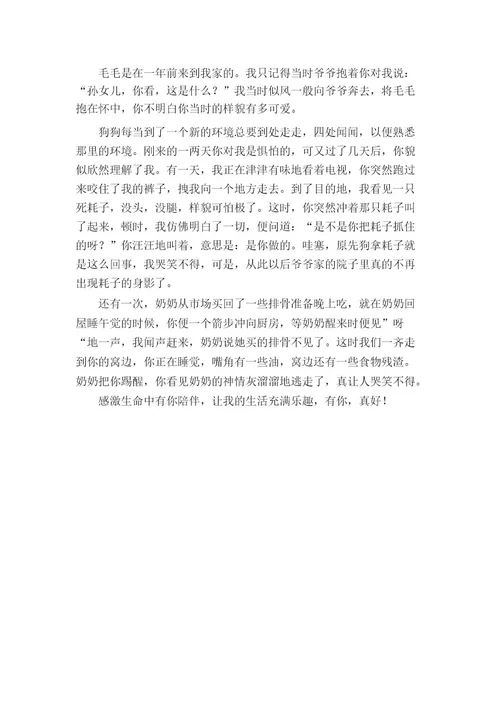 有你真好作文600字初一11篇