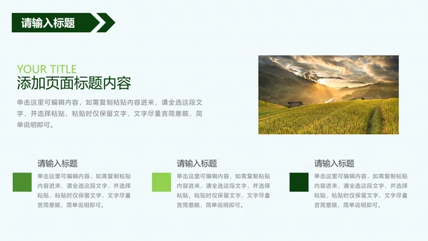 振兴乡村方案PPT模板