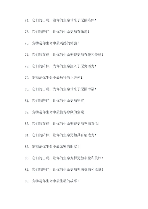 买宠物的标语