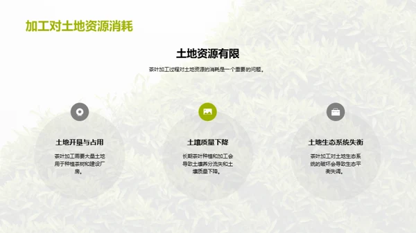 绿色革新：茶叶加工