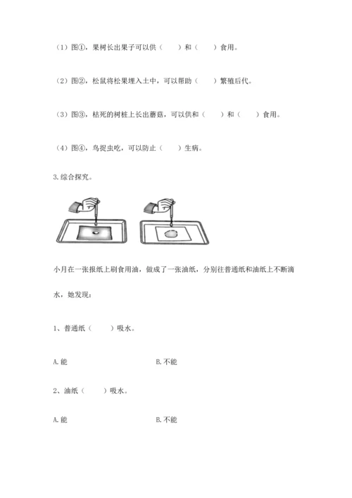 教科版二年级上册科学期末测试卷精品附答案.docx
