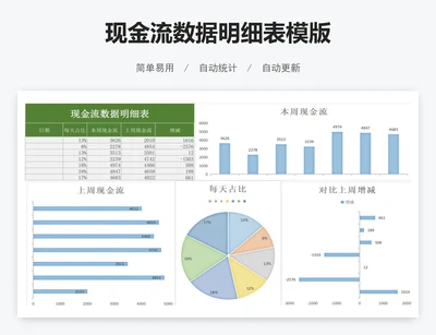 现金流数据明细表模版