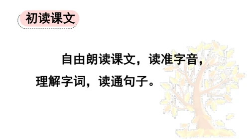 5 铺满金色巴掌的水泥道