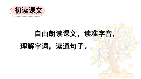 5 铺满金色巴掌的水泥道