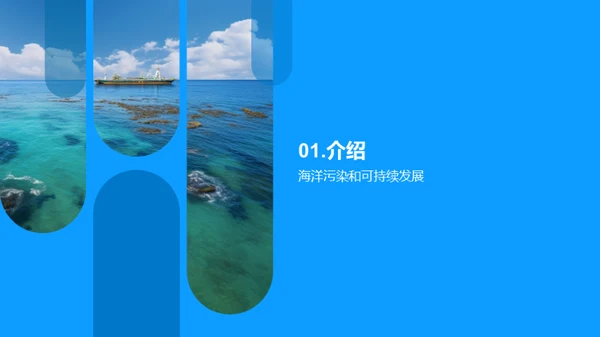 海洋污染与生态保护