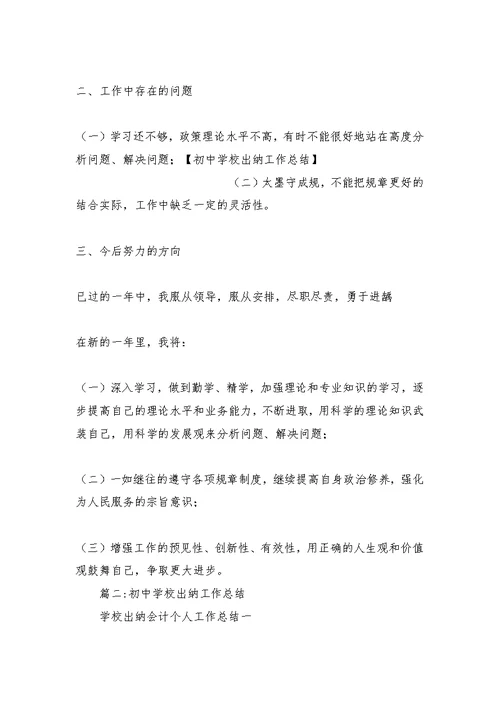 初中学校出纳工作总结