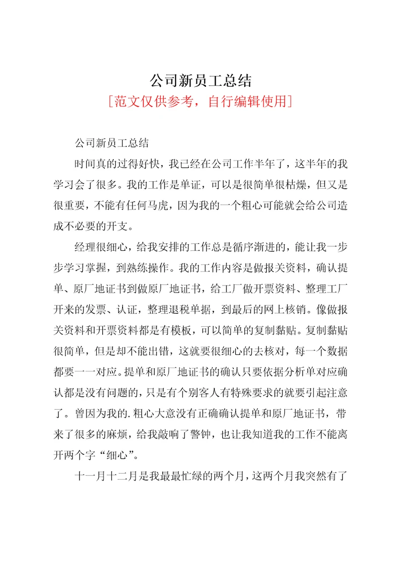 公司新员工总结共2页