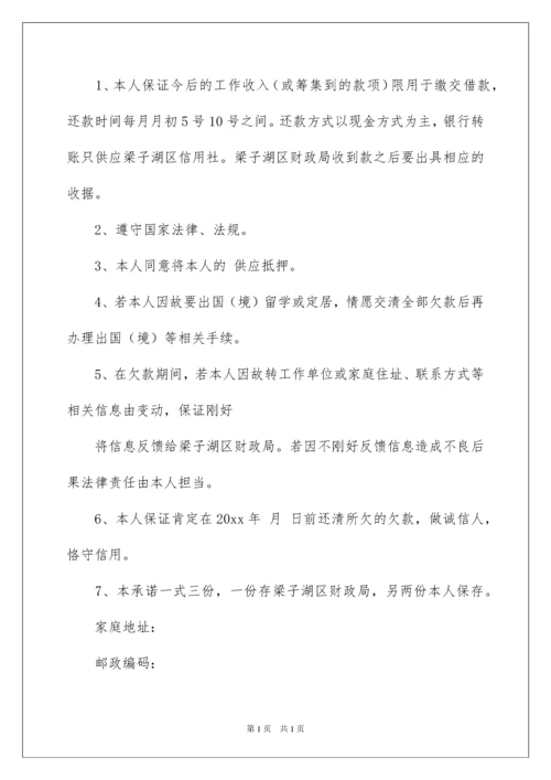 2022个人还款承诺书_7.docx