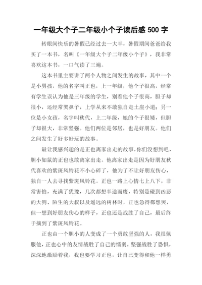 一年级大个子二年级小个子读后感500字.docx