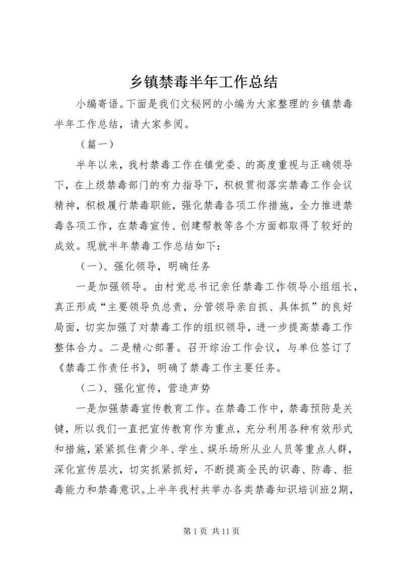 乡镇禁毒半年工作总结.docx