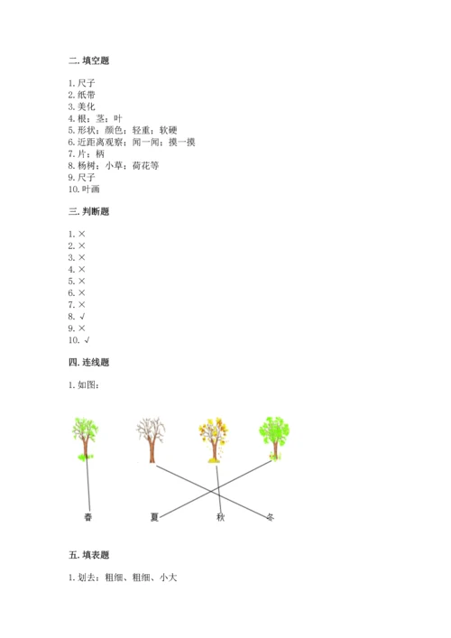 教科版科学一年级上册期末测试卷带答案（b卷）.docx