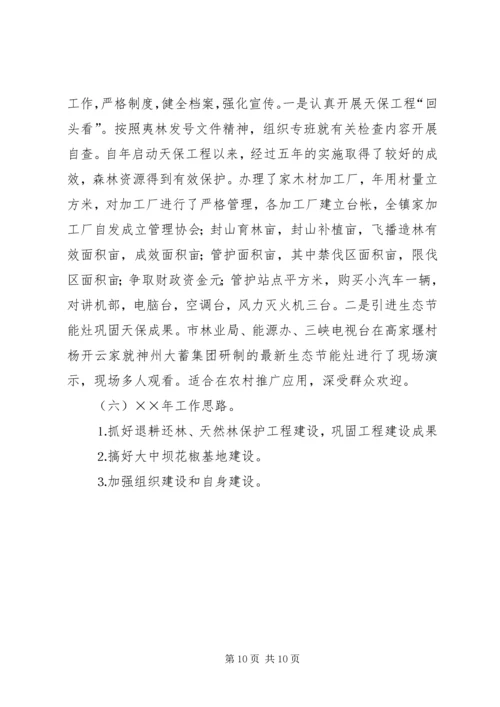 乡镇林业站工作总结_1.docx