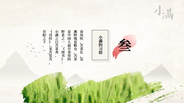 传统节气小满一抹绿色通用PPT模板