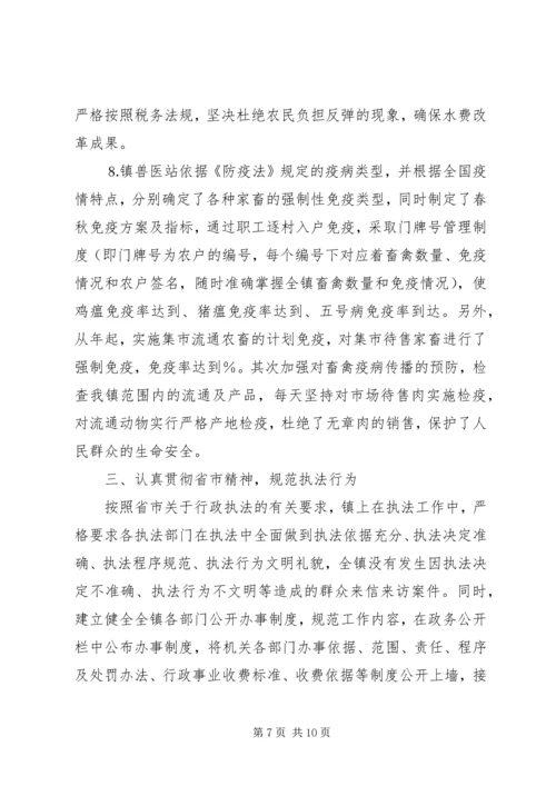 乡镇行政执法自查工作总结.docx