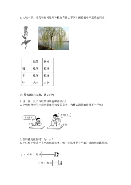 教科版一年级上册科学期末测试卷精品【综合题】.docx