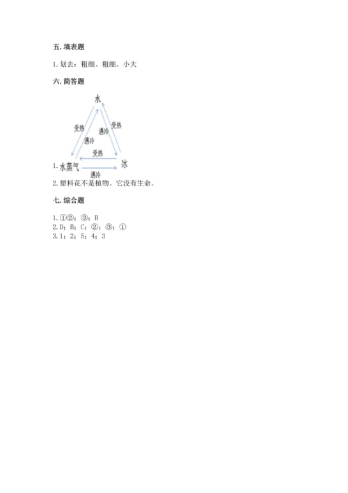教科版科学一年级上册第一单元《植物》测试卷含完整答案【夺冠系列】.docx