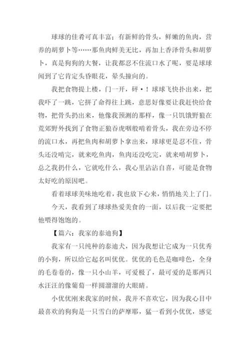 小动物泰迪作文.docx