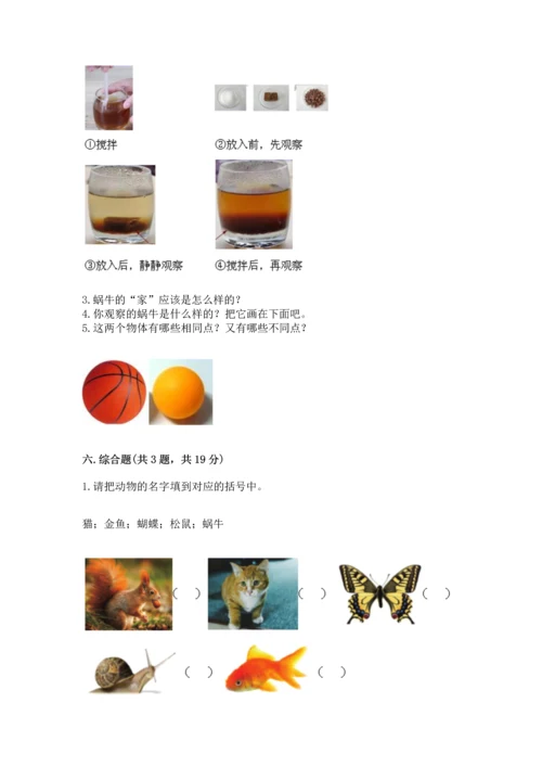 教科版一年级下册科学期末测试卷附完整答案（全国通用）.docx