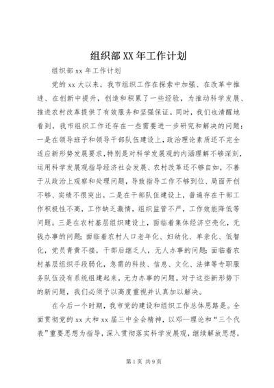 组织部XX年工作计划 (4).docx